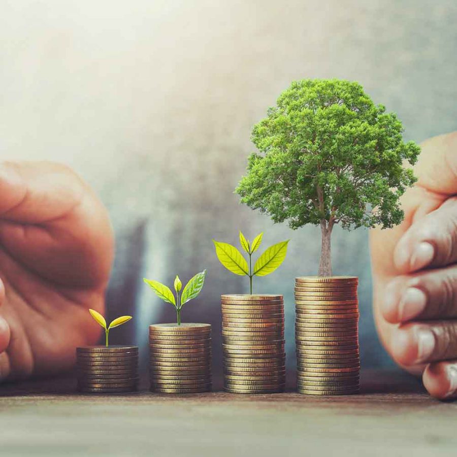 4 Quick Tips to Help Your Startup Woo Investors Square plants